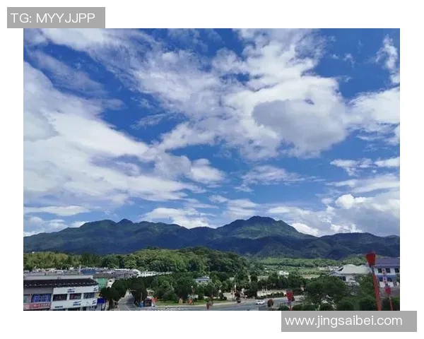 神秘人对决自由人直播盛宴揭开未知的面纱与自由的探索之旅